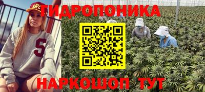 ГАЛЛЮЦИНОГЕННЫЕ ГРИБЫ Обнинск