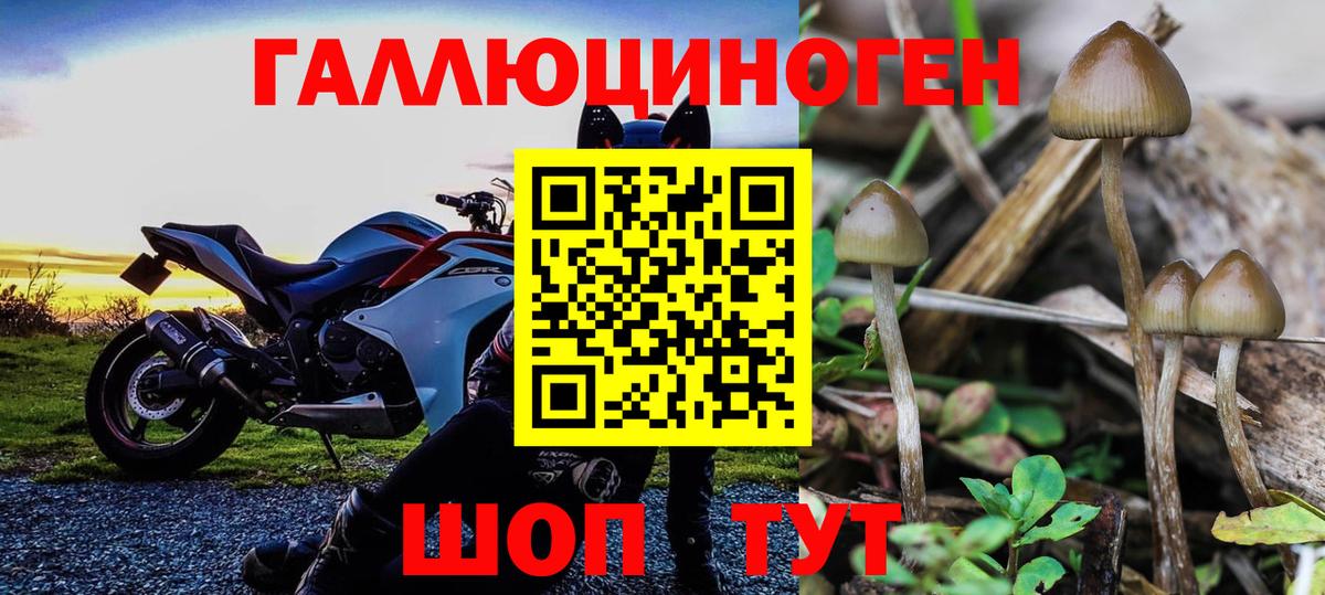 Псилоцибиновые грибы мицелий Шарыпово
