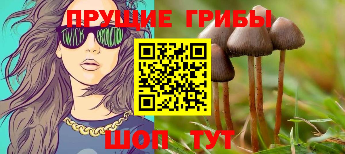 Галлюциногенные грибы ЛСД  Вход с VPN  где купить наркотик  Шарыпово 